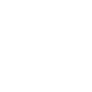 Made in NI Award